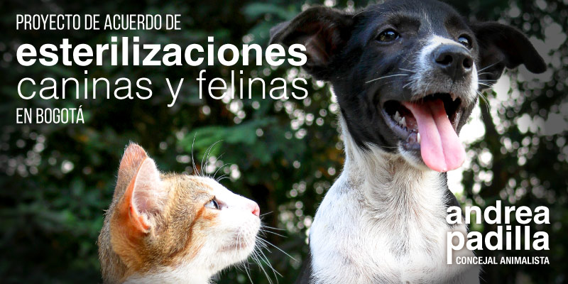 Socialización con la comunidad del proyecto de acuerdo de esterilización de gatos y perros en Bogotá