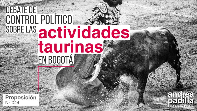 Duro debate de control político sobre las actividades taurinas en Bogotá