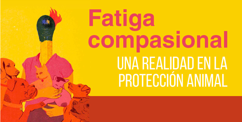 La “fatiga compasional” de quienes trabajan por los animales debe ser atendida por la oferta distrital de salud