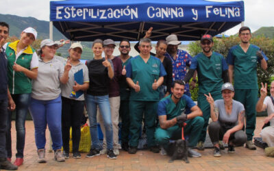 Veterinarios sin fronteras