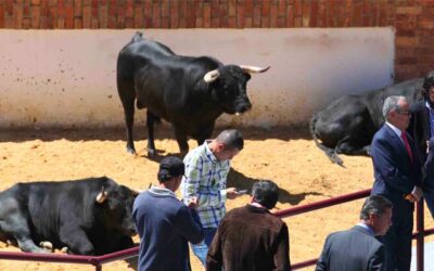 Masacraron a ‘Libertad’