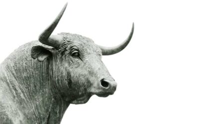 El extraño mundo ‘parataurino’