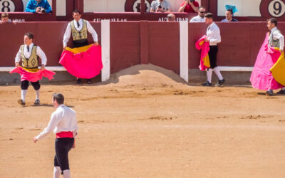 Corridas de toros sí, corridas de toros no