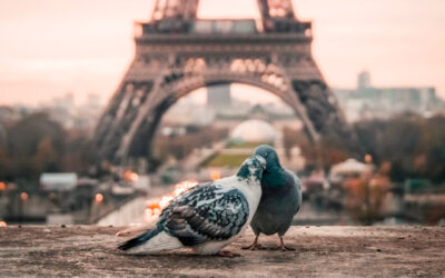 De Francia con amor