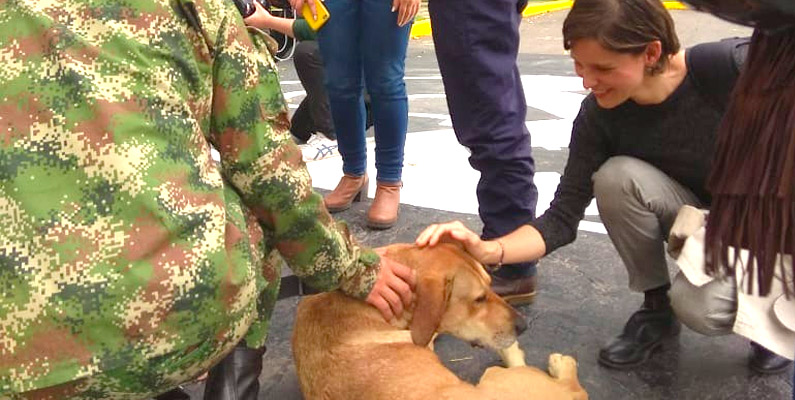 Grave denuncia de la Concejal Andrea Padilla Villarraga sobre perros de la Escuela de Artillería de Usme