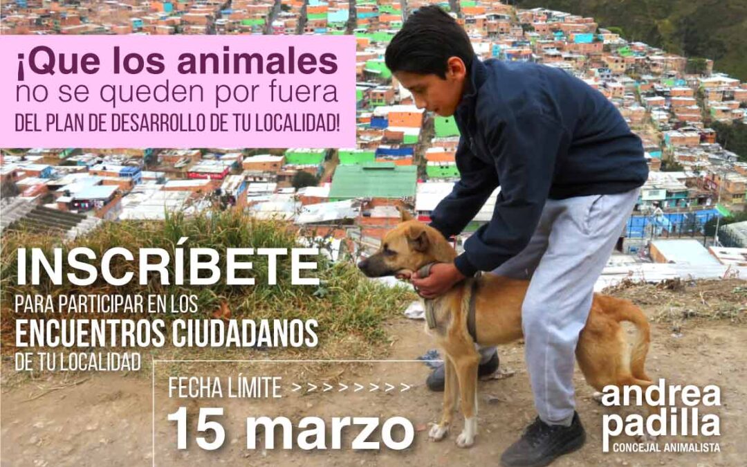 ¡Que los animales no se queden por fuera del Plan de Desarrollo de tu localidad!