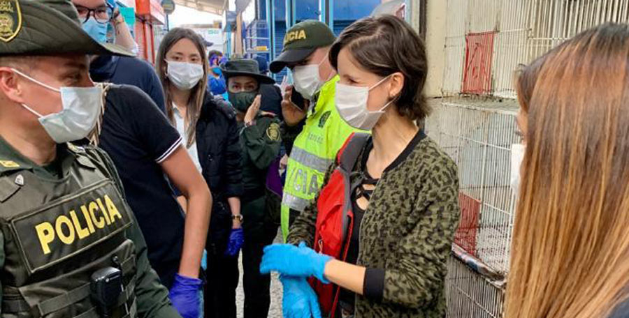 Termina sufrimiento animal. Cerradas las ventas de animales vivos en la plaza del Restrepo