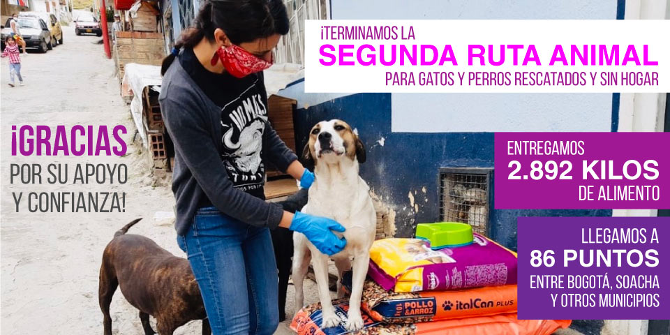 Concluye recorrido para llevarles alimento a gatos y perros sin hogar en Bogotá durante esta cuarentena!