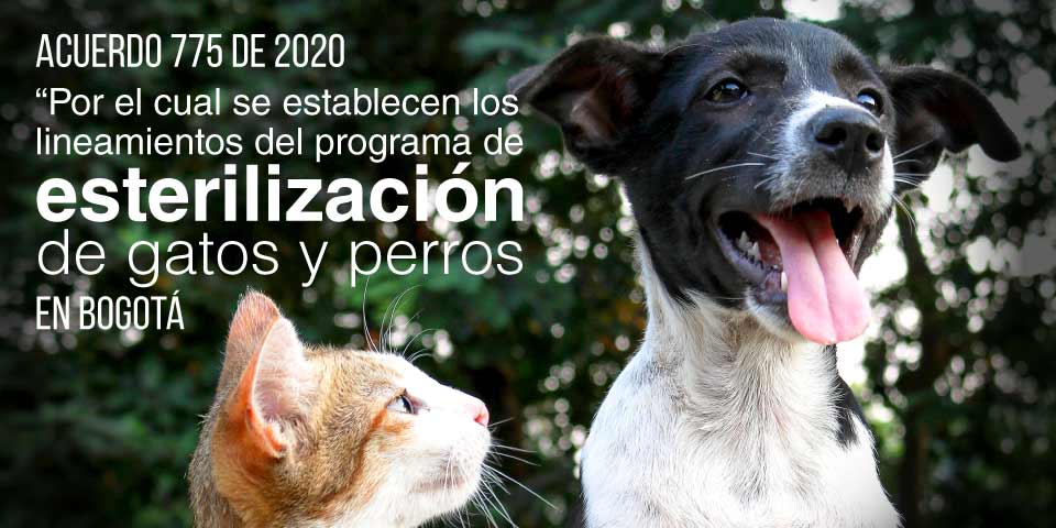 ACUERDO 775 DE 2020