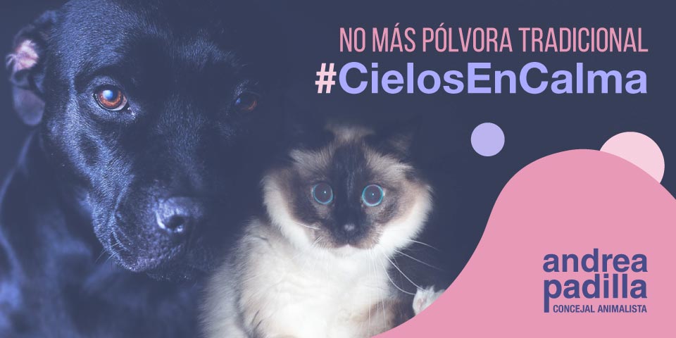 Lanzan #CielosEnCalma: una campaña para pedirle a la Alcaldía de Bogotá que no use pólvora tradicional en las celebraciones de fin de año