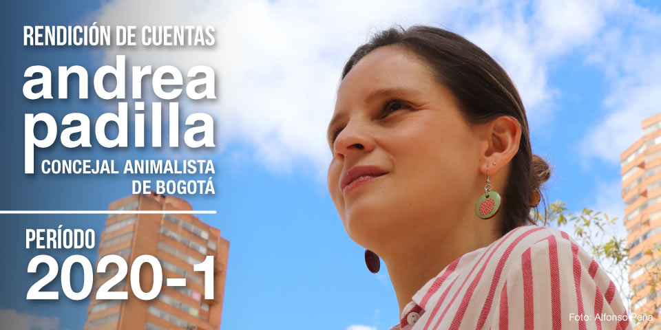 Seis meses “animalizando” a Bogotá / Rendición de cuentas de la concejal animalista Andrea Padilla | 2020-1