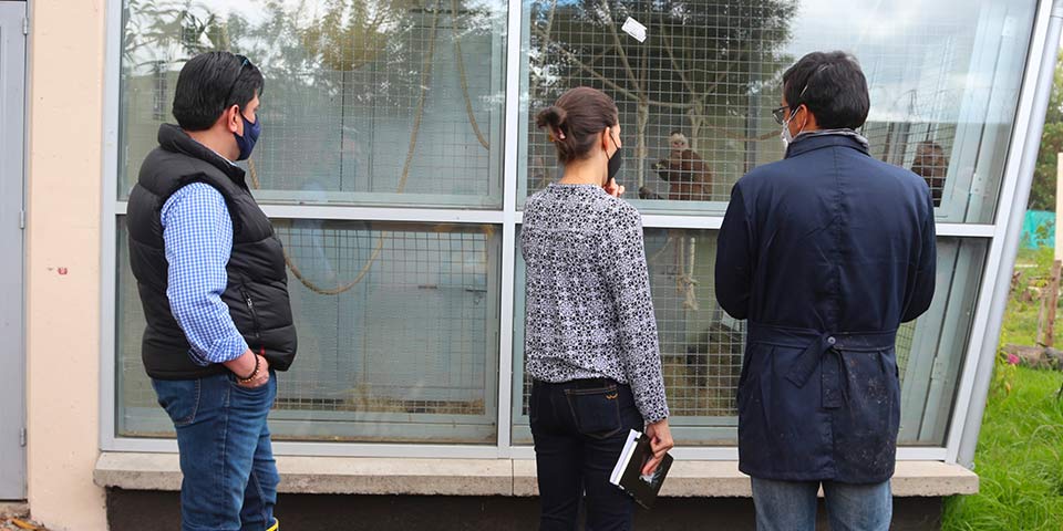 Visita al Centro de Atención, Valoración y Rehabilitación de Fauna Silvestre del Distrito (Secretaría Distrital de Ambiente) | Febrero 9 de 2021