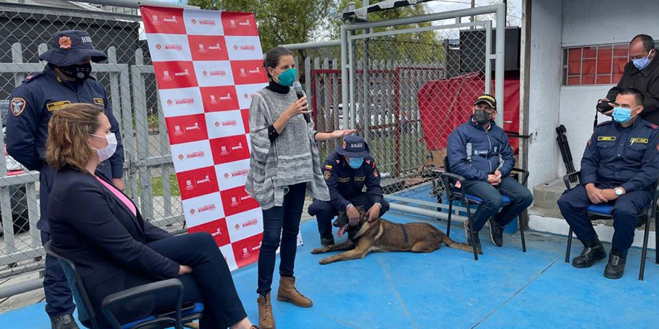 Visita a las instalaciones de la Brigada de Búsqueda y Rescate de Animales en Emergencia (BRAE) del Cuerpo de Bomberos de Bogotá | Febrero 26 de 2021