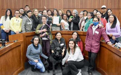 Radicamos el Proyecto de Ley para apoyar la labor de rescatistas de animales: proteccionistas independientes y fundaciones (ARCHIVADO)