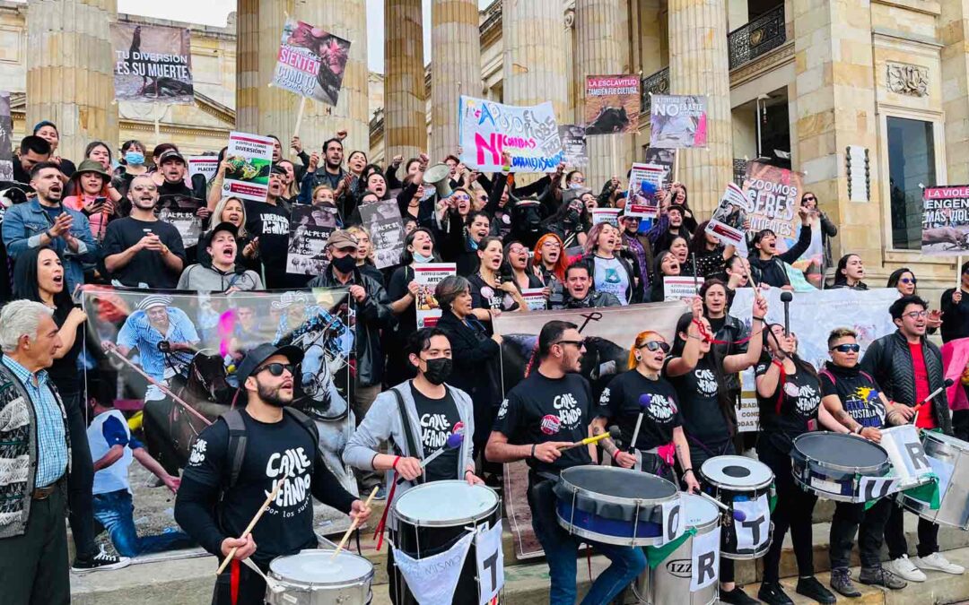 Convocamos un plantón para elevar la voz en defensa de los animales y pedirles a los senadores que voten sí al proyecto de ley 085