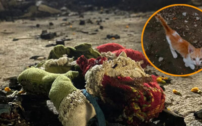 La masacre de Santa Marta