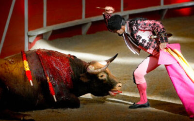 Corridas de toros y corralejas / Cifras y datos claves / No más violencia contra los animales