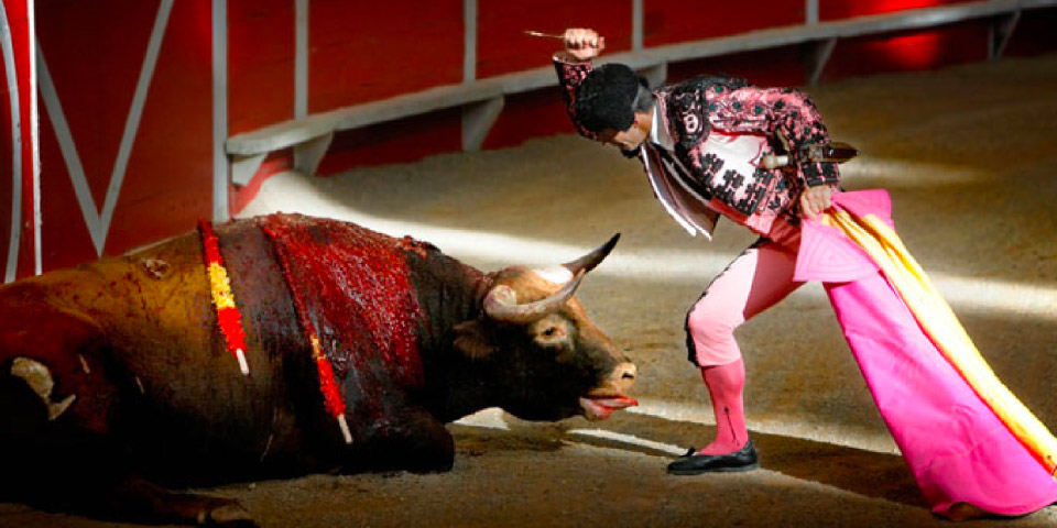 Corridas de toros y corralejas / Cifras y datos claves / No más violencia contra los animales