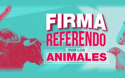 Sí, un referendo por los animales