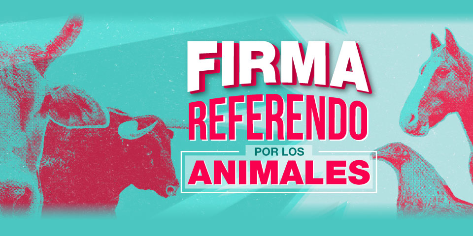 Sí, un referendo por los animales