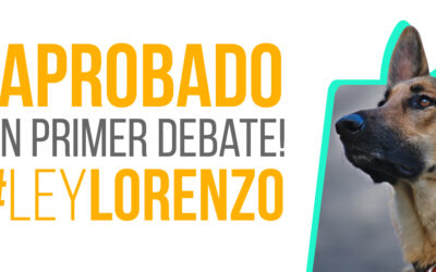 ¡Aprobado en primer debate!