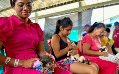 Radicamos nuevamente el Proyecto de Ley para apoyar la labor de rescatistas de animales