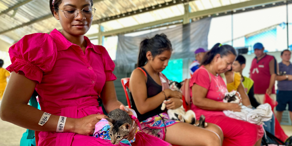 Radicamos nuevamente el Proyecto de Ley para apoyar la labor de rescatistas de animales