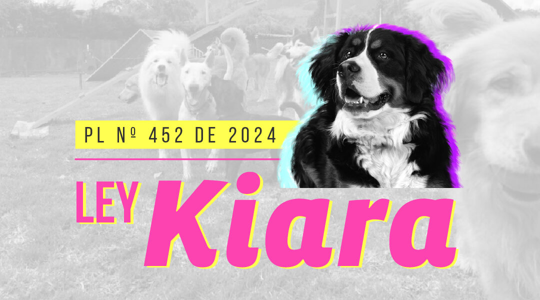 Ley Kiara: A un debate de ser Ley de la República
