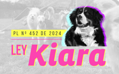 Ley Kiara: A un debate de ser Ley de la República