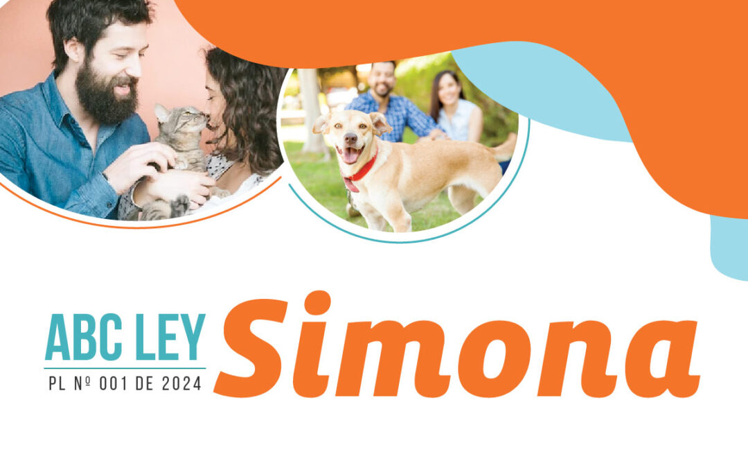 ABC Proyecto de ley Simona