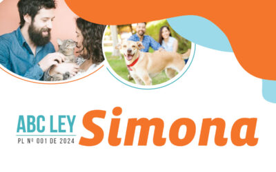 ABC Proyecto de ley Simona