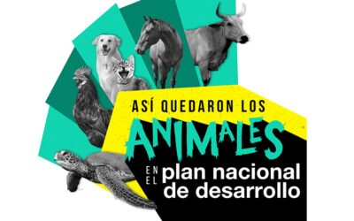 ¿Cómo les fue a los animales en el Plan Nacional de Desarrollo?