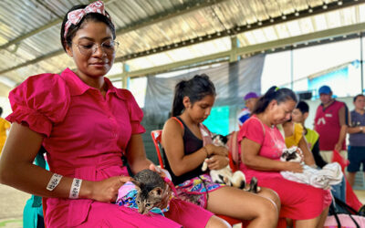 ¡Histórico: Colombia tendrá programa nacional de esterilización!