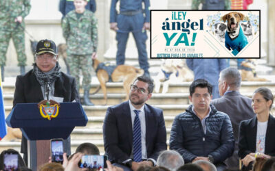 Ley Ángel y Ley Lorenzo fueron promulgadas en un evento con el presidente Gustavo Petro, la senadora Andrea Padilla, unos quinientos animalistas y un centenar de perritos